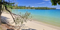 2(80).jpg
