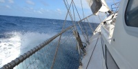 1369_full_1.jpg