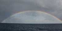 1369_full_3.jpg