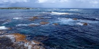 1385_full_2.jpg