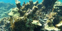 1385_full_10.jpg