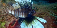 1375_full_11.jpg