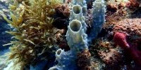 1375_full_12.jpg