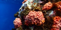 1375_full_14.jpg