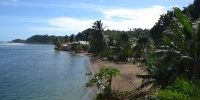 1373_full_7.jpg