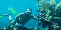 1371_full_5.jpg
