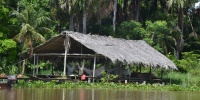 1357_full_0.jpg