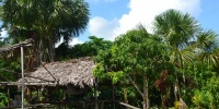 1357_full_13.jpg