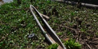 1357_full_18.jpg