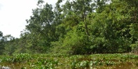 1355_full_2.jpg