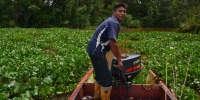 1355_full_4.jpg