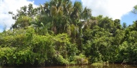 1351_full_7.jpg