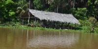 1351_full_13.jpg