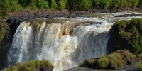 1331_full_0.jpg