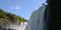 1331_full_2.jpg