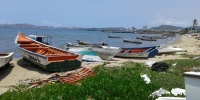 1345_full_5.jpg