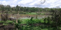 1245_full_1.jpg