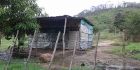 1245_full_9.jpg