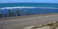 1315_full_3.jpg