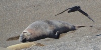 1315_full_7.jpg
