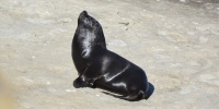 1315_full_11.jpg