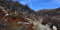 1311_full_6.jpg