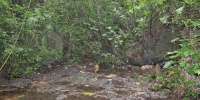 1271_full_4.jpg