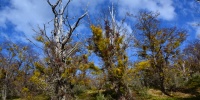 1305_full_3.jpg