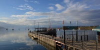1303_full_5.jpg
