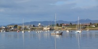 1303_full_7.jpg