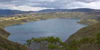 1265_full_1.jpg