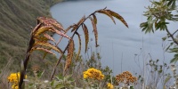 1265_full_2.jpg