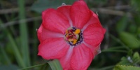 1265_full_7.jpg