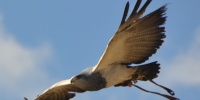 1263_full_0.jpg