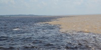 1341_full_21.jpg