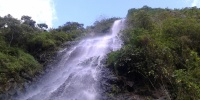 1257_full.jpg