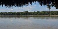 1255_full_1.jpg