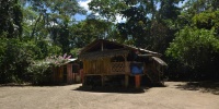 1255_full_3.jpg