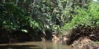 1253_full_3.jpg