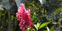 1253_full_5.jpg