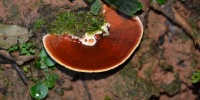 1253_full_10.jpg