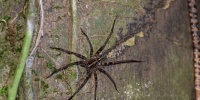 1253_full_12.jpg