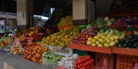 1249_full_3.jpg
