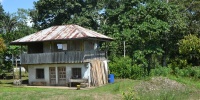1249_full_6.jpg