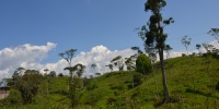 1249_full_8.jpg