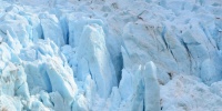 1297_full_6.jpg