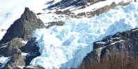 1295_full_5.jpg