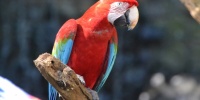 1339_full_0.jpg