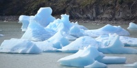 1293_full_12.jpg