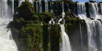 1333_full_18.jpg